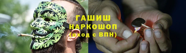 молекула духа Тында