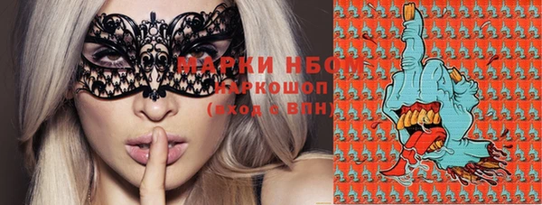 молекула духа Тында