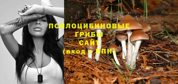 молекула духа Тында