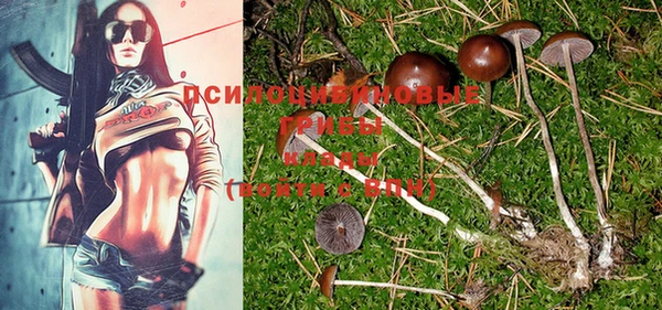 молекула духа Тында