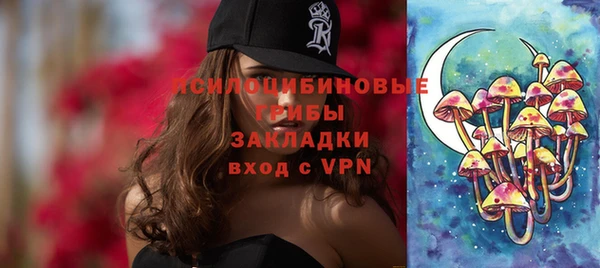 молекула духа Тында