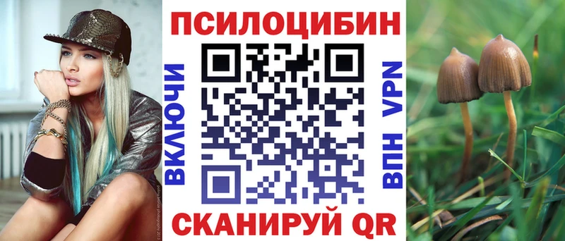 Купить  Стрежевой  Галлюциногенные грибы GOLDEN TEACHER 